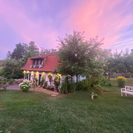 Appartement Geraeumige In Mit Terrasse- Garten Und Grill By Interhome Bad Elster